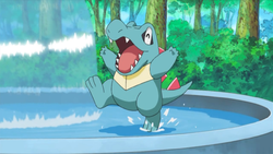 totodile laughs at totodile's scary face attack 