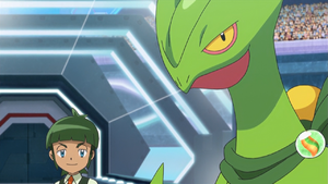 Sawyer and Sceptile.png