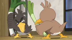 COULD ASH'S GALARIAN FARFETCH'D EVOLVE SOON?! Pokémon Journeys Episode 39  Discussion 