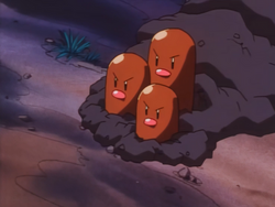 Gaiva Dam Dugtrio.png