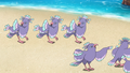 Sensu Style Oricorio in the anime