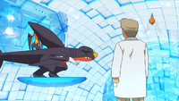 Professor Oak Holo Caster XY006.png