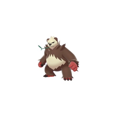 panda bear pokemon