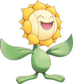 shiny sunflora