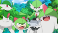 Team Rocket as members of the Ralts evolutionary line