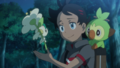 Floette White Flower and Goh.png