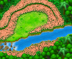 Latolato Trail Gracidea Field Ranger3.png