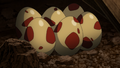 Six Larvesta Eggs in JN080