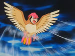 Ash Pidgeotto Gust.png