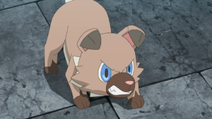 Ash Rockruff angry.png