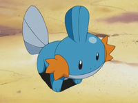 Ben's Mudkip