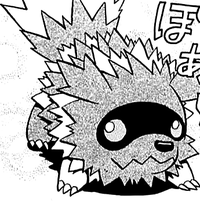 Zigzagoon (Pokémon) - Bulbapedia, the community-driven Pokémon encyclopedia