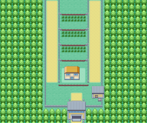 Kanto Route 5 FRLG.png