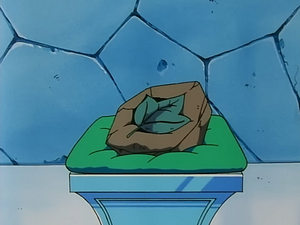 Leaf Stone Fake EP068.png