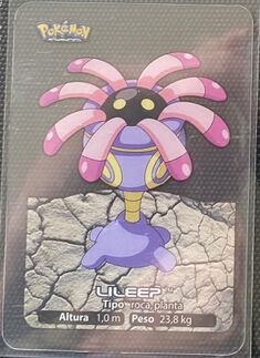 Pokémon Rainbow Lamincards Advanced - 106.jpg