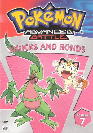 Shocks and Bonds DVD.png