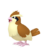 List of Goh's Pokémon#Pidgey