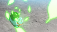 Ash Bulbasaur Razor Leaf.png