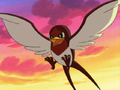 Ash Taillow.png