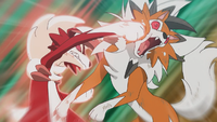 Gladion Lycanroc Counter.png
