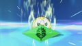 Rowlet preparing to use a special attack