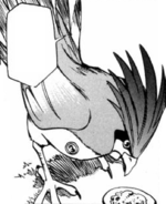 Ash Pidgeotto EToP.png