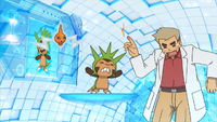 Professor Oak Holo Caster XY016.png