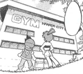 Cerulean Gym Adventures.png