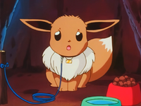 Eevee brothers - Bulbapedia, the community-driven Pokémon encyclopedia