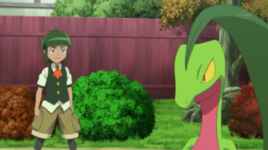 Sawyer and Grovyle.png