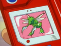 Scyther's "extra" wing