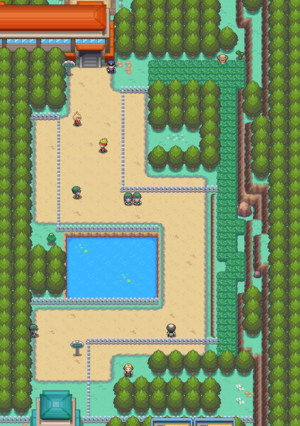 Pokemon HeartGold Version - ds - Walkthrough and Guide - Page 4 - GameSpy