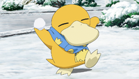 Trainer's Psyduck