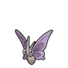 Venomoth