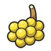 Bag Jaboca Berry SV Sprite.png