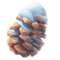 GO Snowy Pinecone.png