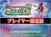 Summer Battle 2015 Certificate.jpg