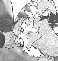 Silver's Entei