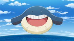 Wailord (Pokémon) - Bulbapedia, the community-driven Pokémon encyclopedia