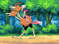 Dawn (anime) - Bulbapedia, the community-driven Pokémon encyclopedia