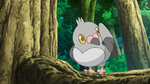 Professor Oak Laboratory Pidove.png