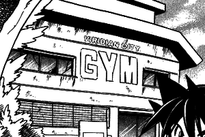 Viridian Gym Adventures 1.png