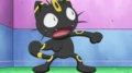 Meowth dressed as an Umbreon