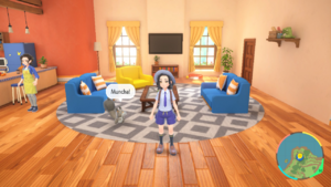 Player House Family Room SV.png