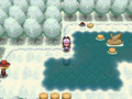 Unova Route 8 Winter BW.png