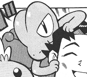 Birch Treecko PMRS.png