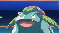 Corey's Venusaur