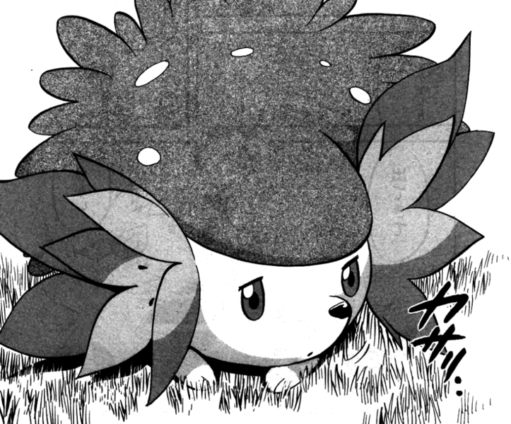 File:Shaymin Land Forme Adventures.png