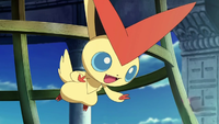 King of the People of the Vale's Victini