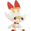 Scorbunny as guest